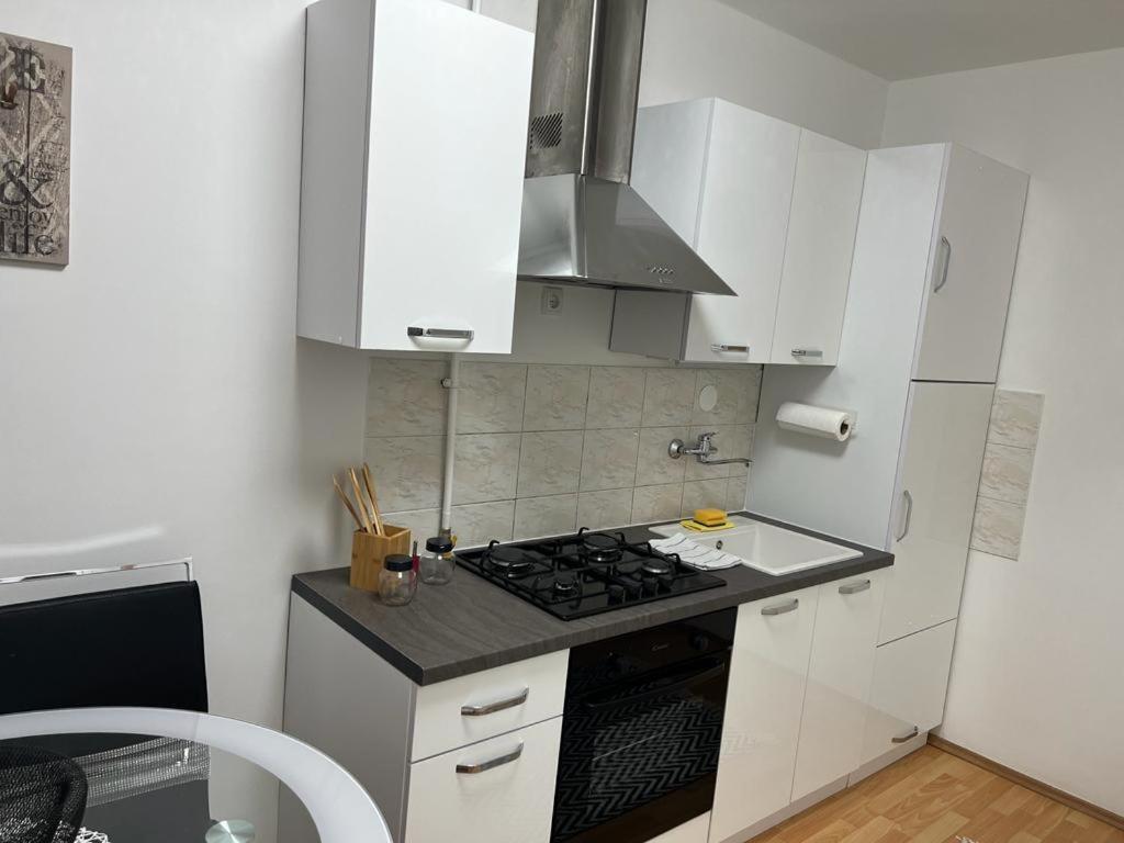 זאגרב Apartman Lara מראה חיצוני תמונה